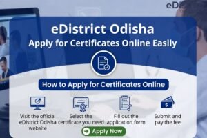 EDistrict Odisha